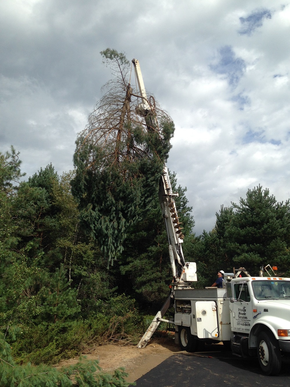 Tree topping service